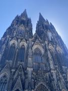 IMG 6974